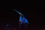 DSC_3949_LR_st.jpg